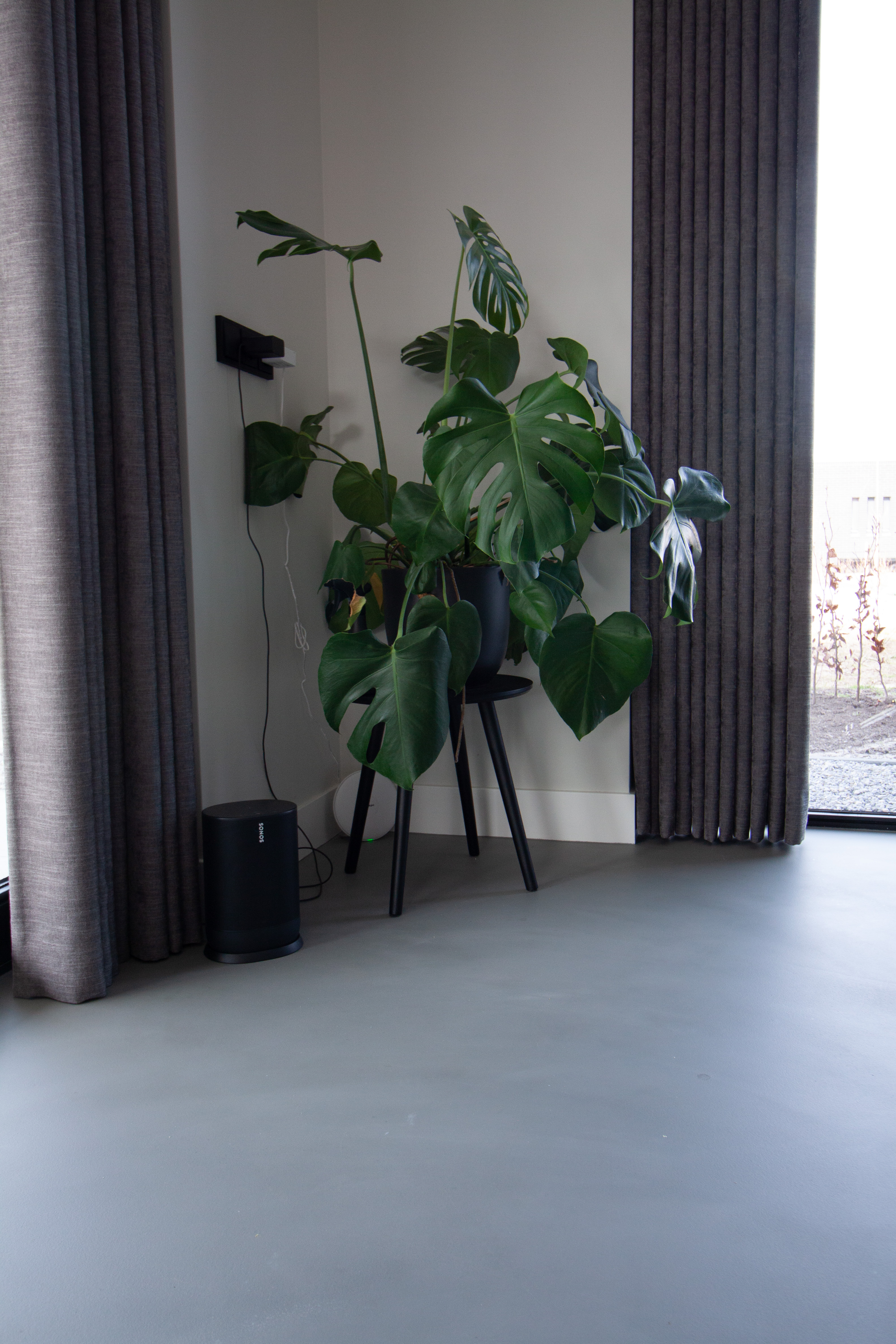 Dark grey sustainable resin flooring with a large plant