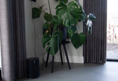 Dark grey sustainable resin flooring with a large plant